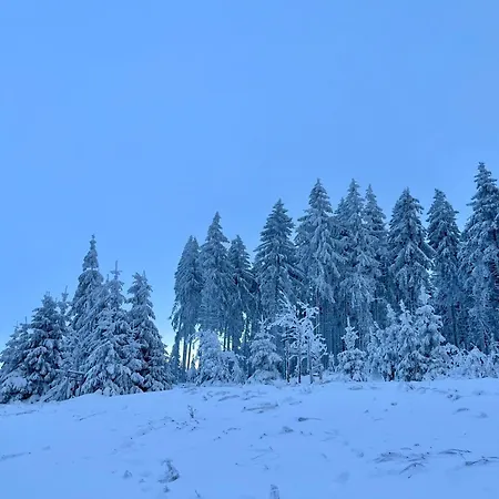 Aurora-1 By Interhome * Kurort Steinbach-Hallenberg