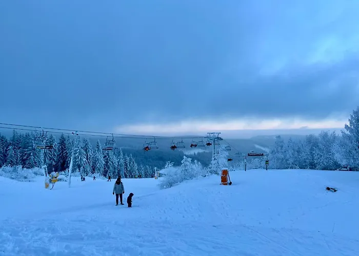 Aurora-1 By Interhome Vakantiehuis Kurort Steinbach-Hallenberg