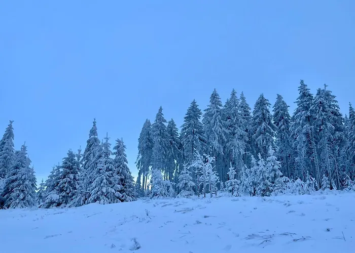 Aurora-1 By Interhome * Kurort Steinbach-Hallenberg